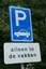 alleen_in_de_vakken_parkeren.jpg